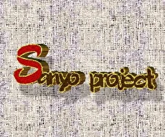 Sanyo project