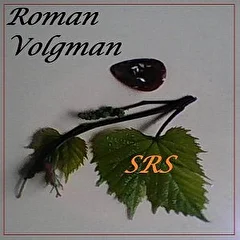 Roman Volgman