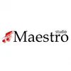 Studio "Maestro" (минусовки для детей на заказ)