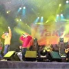 Павлин