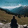 Maxceeport