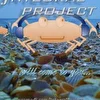 Integral Project