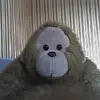Приклеенная Кегля