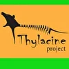 Thylacine project