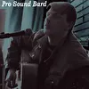 Pro Sound Bard