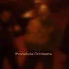 Proraibola Orchestra