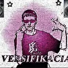 versifikacia