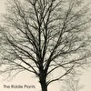 The Riddle Plants
