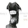 Kerry j