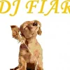 DJ FIAR