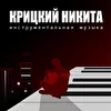 Крицкий Никита (Инструментальная Музыка) 