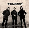 WILD ANIMALS