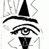 LEVIS 501