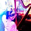проект Arfasound