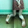 Toxicola