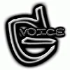 G-Voice