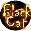 Black Cat Studio