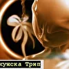 Аяхуяска Трип