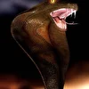 Snakehouse