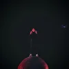 CODA