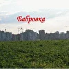 Бабровка