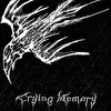 Crying Memory