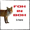 Fox In Box
