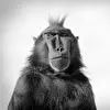 KAZAKOFFMUSIC
