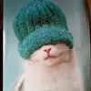 Дула Ака-янный 