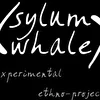 sylum whale