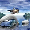 Студия Rro3a