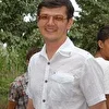 Kamoli