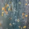 Виктор Бри 