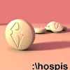 HOSPIS INC