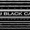 CJ Black Cat