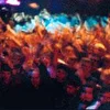clubbing777