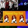 группа_Diamond Dogs