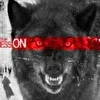 TERROR-Griaznie Tanci 1raund