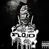 FLOID