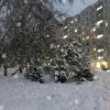 Дары четверга