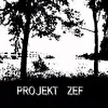 Projekt ZEF