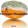 Gospodin Mandarin