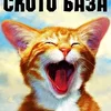 Ското База