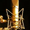 Студия Звукозаписи «Koss Records»