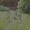 Мужская капуста