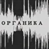 Органика_Став