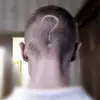 Ясный