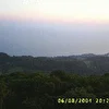 алекс гриф