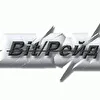 Bit\Рейд