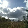 Марьяна